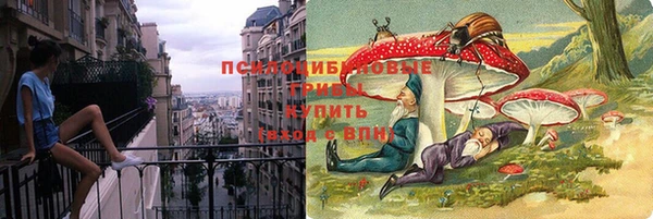 spice Вязники