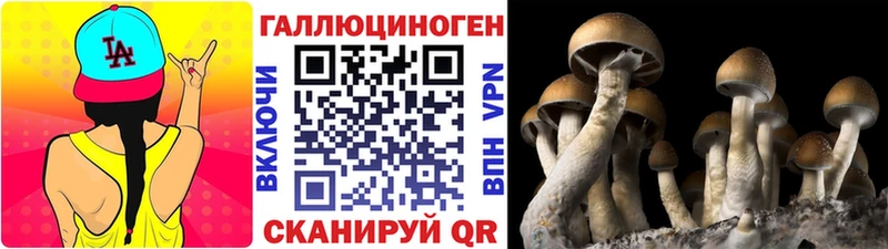 Купить закладки  Палласовка  Галлюциногенные грибы мицелий 